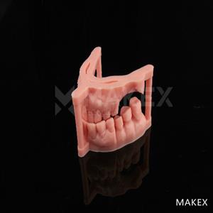 MakeX๦ܸ߾DLP3DӡM-Dental60F