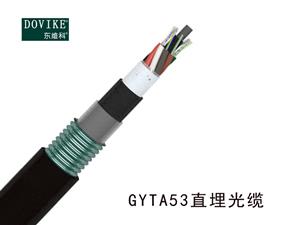  GYTA53-8B1 ³